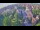 Webcam in Ladenburg, 10 km entfernt