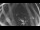 Webcam in Ladenburg, 3.8 mi away
