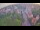 Webcam in Ladenburg, 23.2 km entfernt