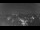 Webcam in Ladenburg, 13.8 mi away