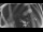 Webcam in Ladenburg, 3.8 mi away