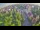 Webcam in Ladenburg, 1.9 mi away