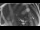 Webcam in Ladenburg, 8 mi away