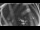 Webcam in Ladenburg, 8 mi away