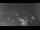 Webcam in Ladenburg, 3.8 mi away