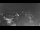 Webcam in Ladenburg, 8.1 mi away