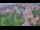 Webcam in Ladenburg, 12.2 mi away