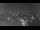 Webcam in Ladenburg, 4.8 mi away