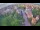 Webcam in Ladenburg, 23.3 km