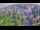 Webcam in Ladenburg, 9 mi away