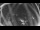 Webcam in Ladenburg, 1.9 mi away