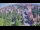 Webcam in Ladenburg, 9.5 km