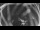 Webcam in Ladenburg, 3.8 mi away