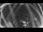 Webcam in Ladenburg, 10.3 mi away