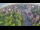 Webcam in Ladenburg, 8.2 mi away