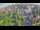 Webcam in Ladenburg, 21.2 km entfernt