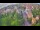Webcam in Ladenburg, 8 mi away