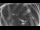 Webcam in Ladenburg, 12.2 mi away