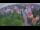 Webcam in Ladenburg, 9.7 km entfernt