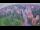 Webcam in Ladenburg, 9.7 km