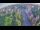 Webcam in Ladenburg, 28.5 km entfernt