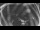 Webcam in Ladenburg, 1.9 mi away