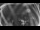 Webcam in Ladenburg, 8 mi away