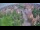 Webcam in Ladenburg, 8 mi away