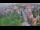 Webcam in Ladenburg, 4.8 km entfernt