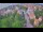 Webcam in Ladenburg, 36.4 km