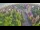 Webcam in Ladenburg, 9 mi away