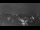 Webcam in Ladenburg, 29.3 km entfernt