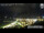 Webcam in Matrei in Osttirol, 7.6 km