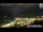 Webcam in Matrei in Osttirol, 11.1 km