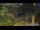 Webcam in Husum, 15.8 mi away