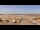 Webcam in Plouguerneau, 1.2 mi away