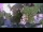 Webcam in Manarola (Cinque Terre), 0.1 mi away