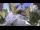 Webcam in Manarola (Cinque Terre), 14.5 km