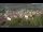 Webcam in Meran, 0.7 mi away