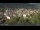 Webcam in Meran, 0.1 mi away