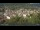Webcam in Meran, 0.9 mi away