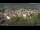 Webcam in Meran, 3 km entfernt