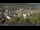 Webcam in Meran, 0.1 mi away