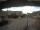 Webcam in Oldsum (Föhr), 9.7 km