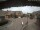 Webcam in Oldsum, 10.1 km