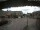 Webcam in Oldsum (Föhr), 9.8 km