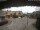 Webcam in Oldsum (Föhr), 3.9 mi away