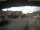 Webcam in Oldsum (Föhr), 11.6 km