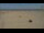 Webcam in Dunkerque, 1.7 km