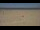 Webcam in Dunkirk, 0 km